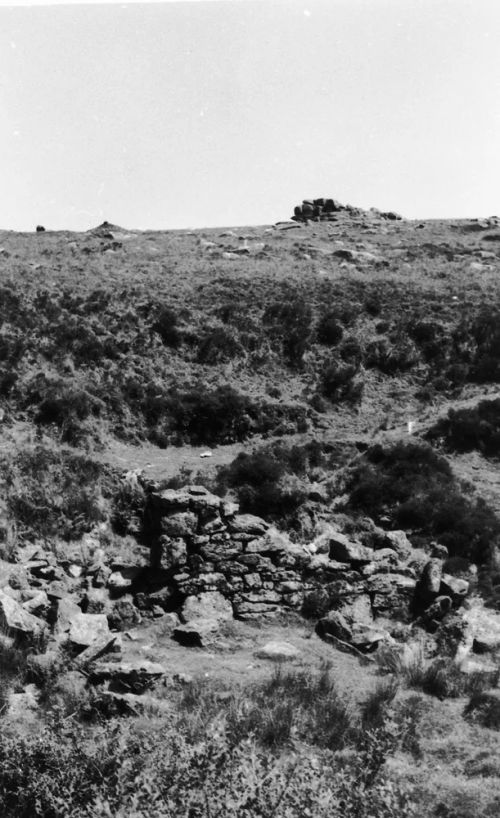 An image from the Dartmoor Trust Archive