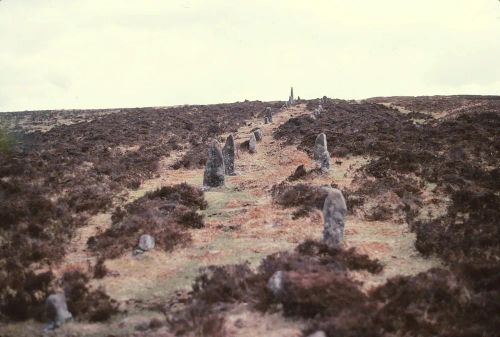 An image from the Dartmoor Trust Archive