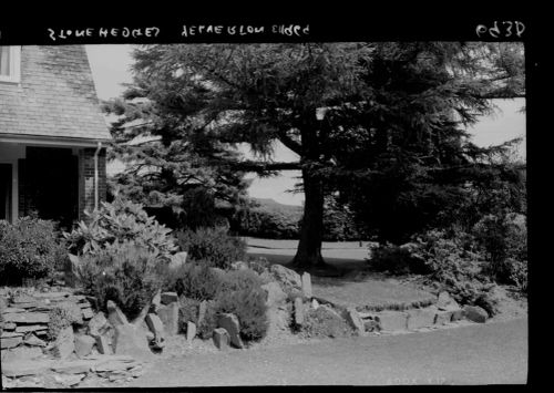 The garden at Stonehedges, Yelverton - the Taylor Family home