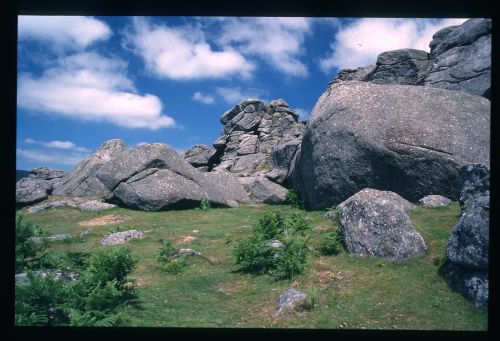 An image from the Dartmoor Trust Archive