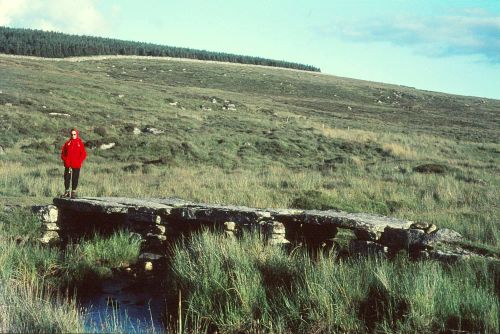 An image from the Dartmoor Trust Archive