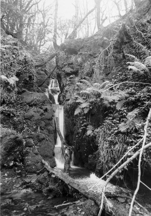 An image from the Dartmoor Trust Archive