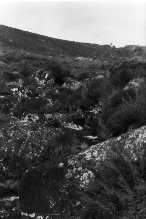 An image from the Dartmoor Trust Archive