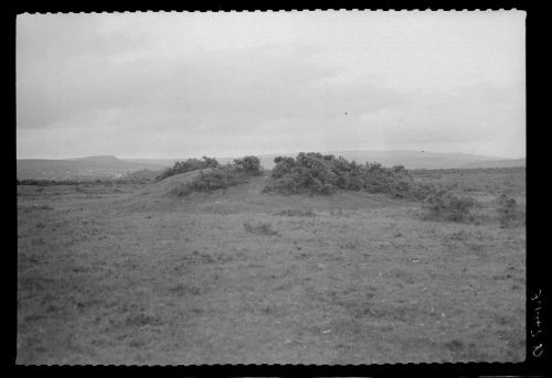 Crapstone Down Barrow, Yelverton