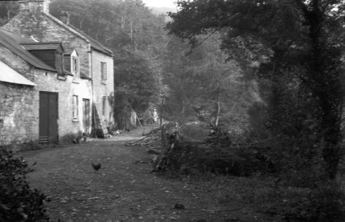 An image from the Dartmoor Trust Archive