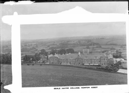 Seale Hayne College