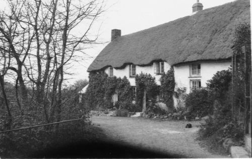 An image from the Dartmoor Trust Archive