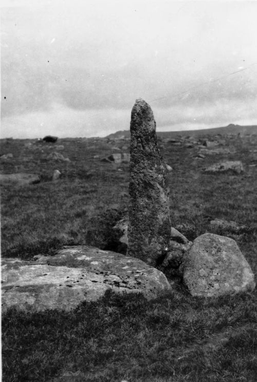 An image from the Dartmoor Trust Archive