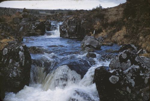 The Plym under Trowlseworthy Farm