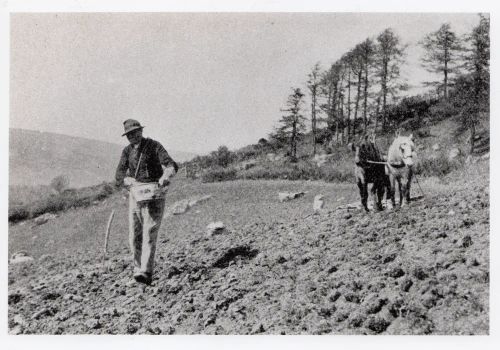 An image from the Dartmoor Trust Archive