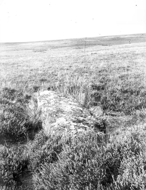 An image from the Dartmoor Trust Archive