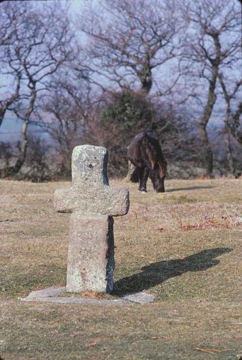 An image from the Dartmoor Trust Archive