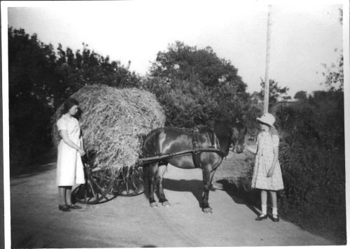 Paulie girls farming