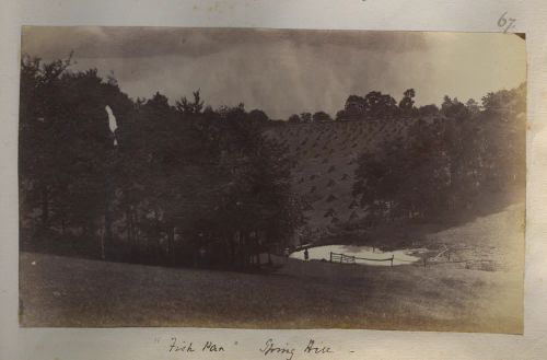 People Fishing In Pond At Spring Hill