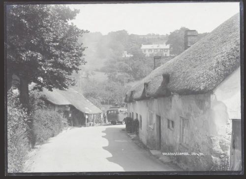 Village street, Branscombe