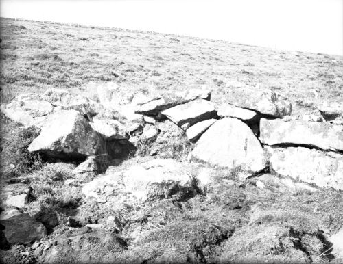 An image from the Dartmoor Trust Archive