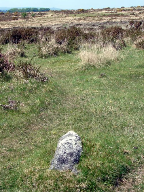 An image from the Dartmoor Trust Archive