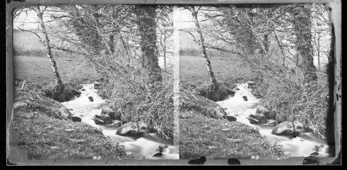 Stereoscopic view of a river