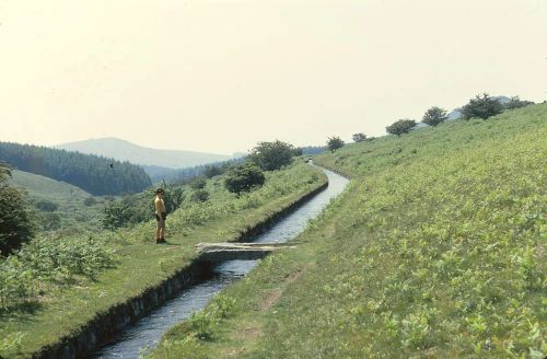 An image from the Dartmoor Trust Archive