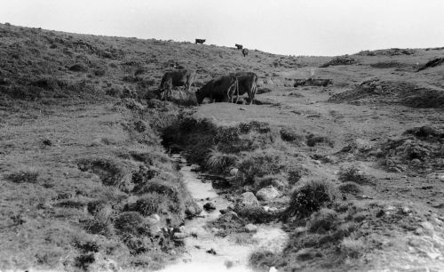 An image from the Dartmoor Trust Archive