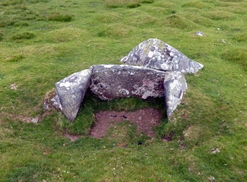 An image from the Dartmoor Trust Archive