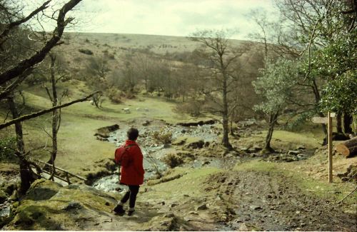 An image from the Dartmoor Trust Archive