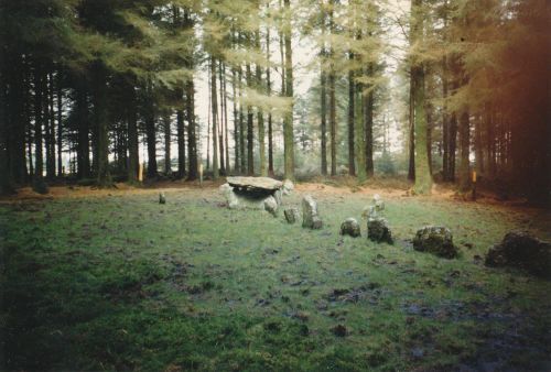 An image from the Dartmoor Trust Archive