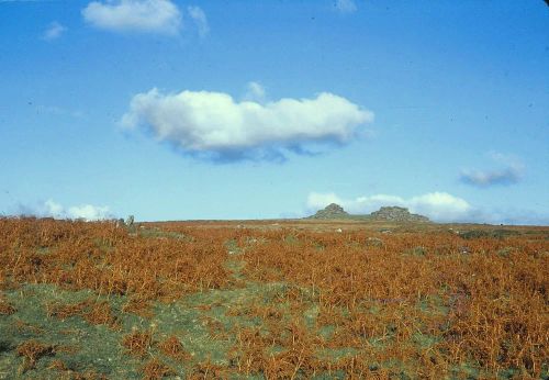 An image from the Dartmoor Trust Archive