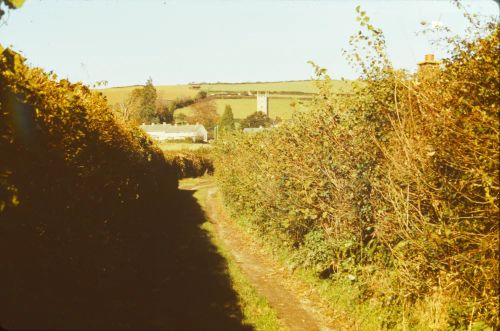 An image from the Dartmoor Trust Archive