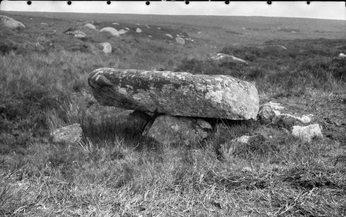 An image from the Dartmoor Trust Archive