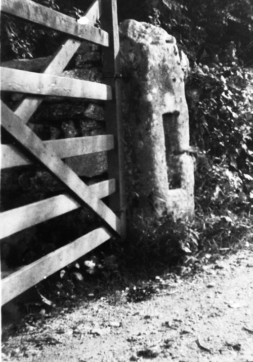 An image from the Dartmoor Trust Archive