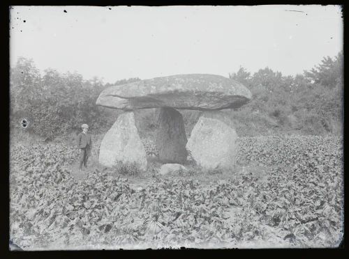 Standing Stones: Spinster's Rock, Drewsteignton