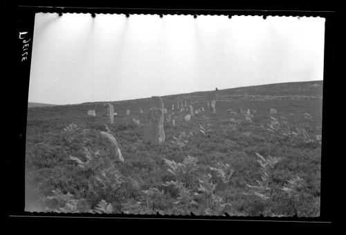 Challacombe Stone Rows