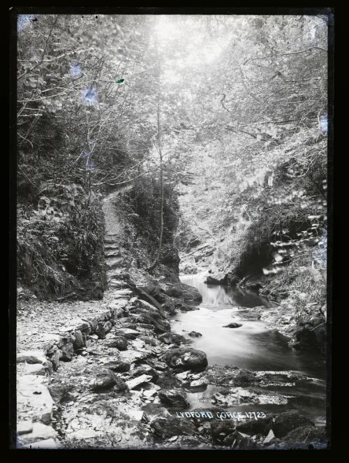 Lydford Gorge, Lydford