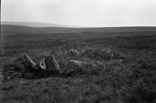 An image from the Dartmoor Trust Archive