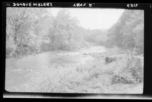 River Tavy and Walkham, double waters