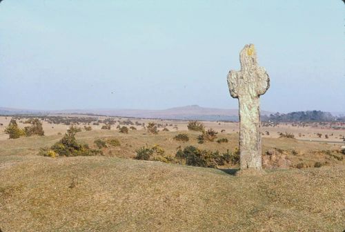 An image from the Dartmoor Trust Archive