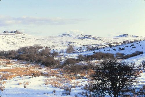 An image from the Dartmoor Trust Archive