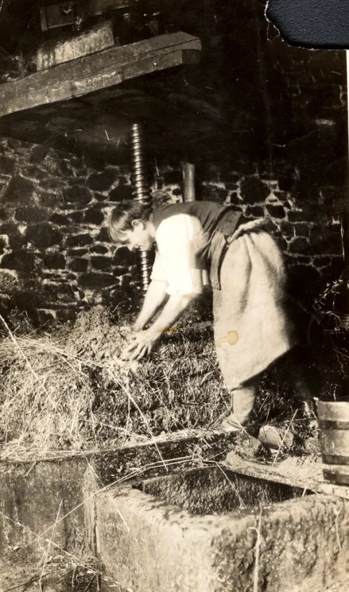 An image from the Dartmoor Trust Archive