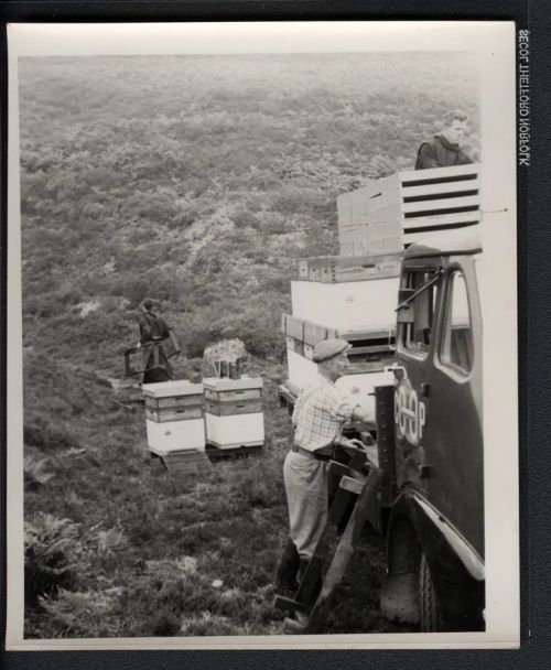 Unloading bee hives