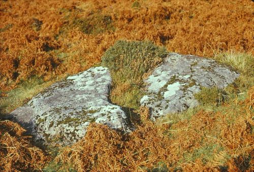 An image from the Dartmoor Trust Archive