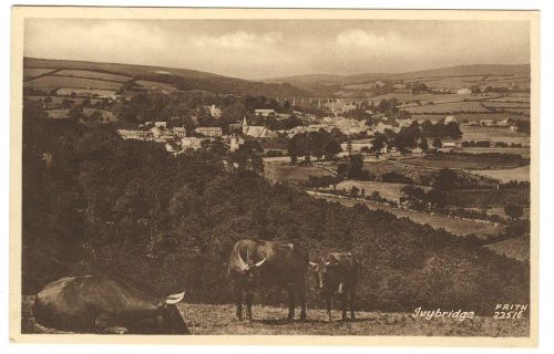 An image from the Dartmoor Trust Archive