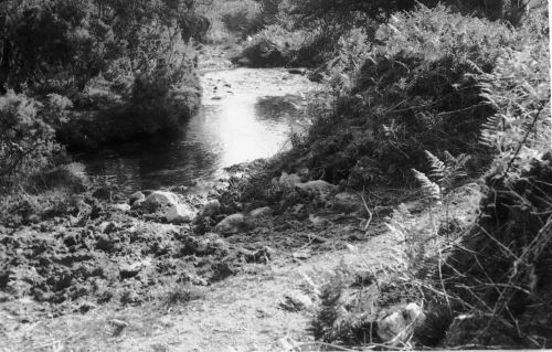 An image from the Dartmoor Trust Archive