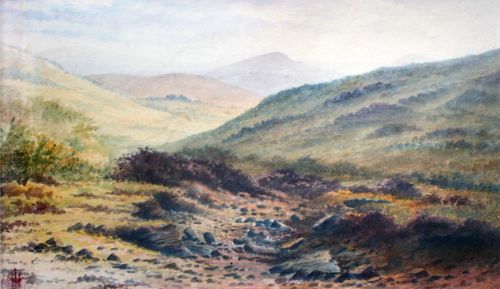 57. Moorland scene.tif