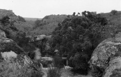 An image from the Dartmoor Trust Archive