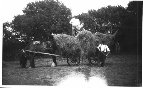 Haymaking at Latchel