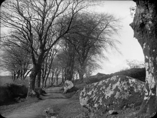 An image from the Dartmoor Trust Archive