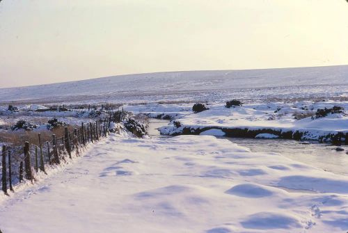 An image from the Dartmoor Trust Archive