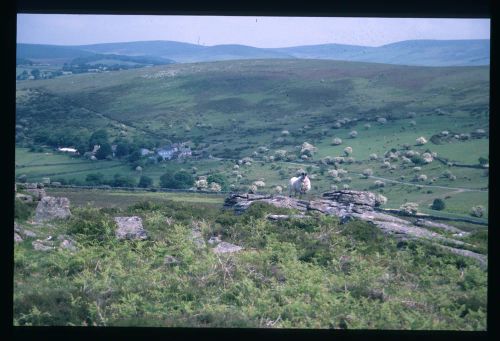 An image from the Dartmoor Trust Archive