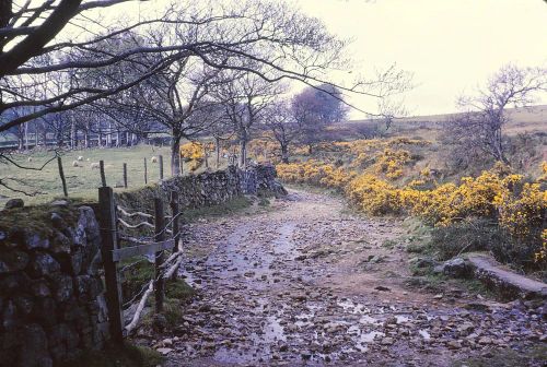 An image from the Dartmoor Trust Archive